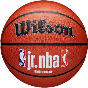 Мяч баскетбольный Wilson JR. NBA Fam Logo Indoor Outdoor WZ2009801XB7, размер 7