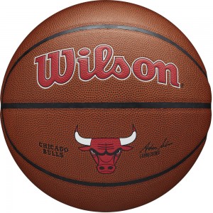 Мяч баскетбольный Wilson NBA Chicago Bulls WTB3100XBCHI, размер 7