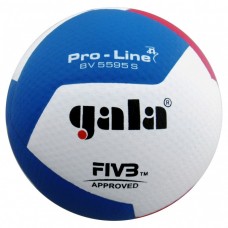 Мяч волейбольный GALA Pro-Line 12, FIVB, профессиональный, размер 5