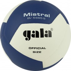 Мяч волейбольный GALA Mistral 12 BV5665S, размер 5