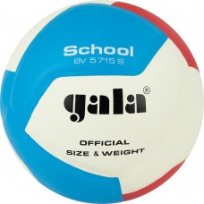 Мяч волейбольный GALA School 12 BV5715S, размер 5
