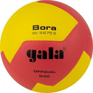 Мяч волейбольный GALA Bora 12 BV5675S, размер 5