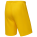 Шорты баскетбольные JÖGEL CAMP Basic, желтый