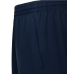 Шорты CAMP 2 Woven Shorts, темно-синий