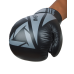 Перчатки боксерские ARES, кожа, черный, 14 oz