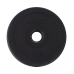 Диск пластиковый BASEFIT BB-203 d=26 мм, черный, 1 кг