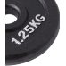 Диск чугунный Starfit BB-204 d=26 мм, черный, 1,25 кг