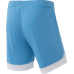 Шорты игровые DIVISION PerFormDRY Union Shorts, голубой/белый/белый