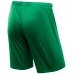 Шорты игровые CAMP Classic Shorts, зеленый/белый, детский