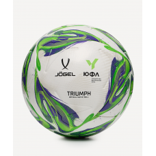 Мяч футбольный Triumph Elite YFL №5