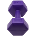 Гантель гексагональная DB-305 2 кг, пластиковый, фиолетовый, пара