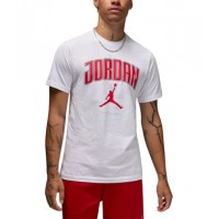 Nike футболка HQ0009-100