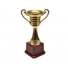 Кубок. Высота 23 см: НB2006-B